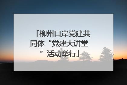 柳州口岸党建共同体“党建大讲堂”活动举行
