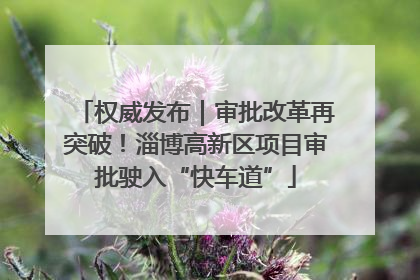 权威发布｜审批改革再突破！淄博高新区项目审批驶入“快车道”