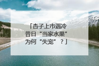 杏子上市遇冷 昔日“当家水果”为何“失宠”？