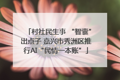 村社民生事 “智囊”出点子 嘉兴市秀洲区推行AI“民情一本账”