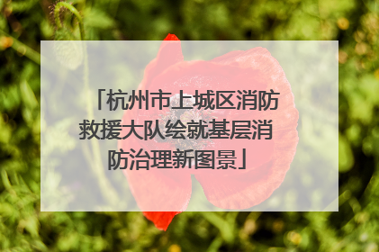 杭州市上城区消防救援大队绘就基层消防治理新图景