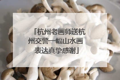 杭州老画师送杭州交警一幅山水画 表达真挚感谢
