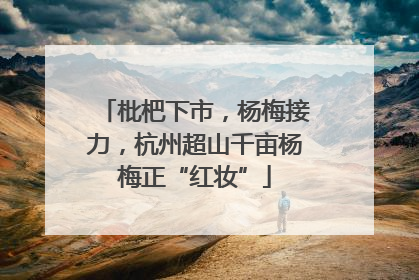 枇杷下市，杨梅接力，杭州超山千亩杨梅正“红妆”