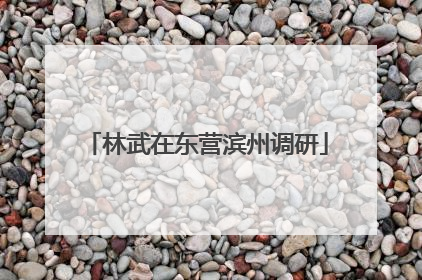 林武在东营滨州调研