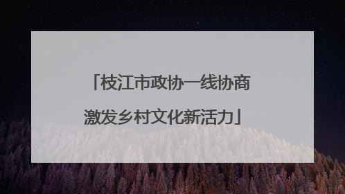 枝江市政协一线协商激发乡村文化新活力