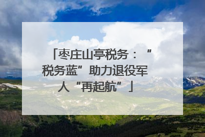 枣庄山亭税务：“税务蓝”助力退役军人“再起航”