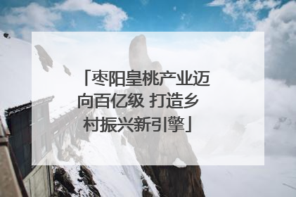 枣阳皇桃产业迈向百亿级 打造乡村振兴新引擎