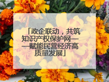 政企联动，共筑知识产权保护网——赋能民营经济高质量发展