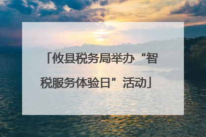 攸县税务局举办“智税服务体验日”活动