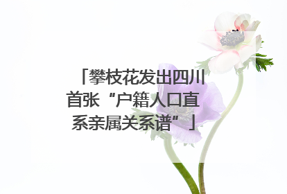 攀枝花发出四川首张“户籍人口直系亲属关系谱”