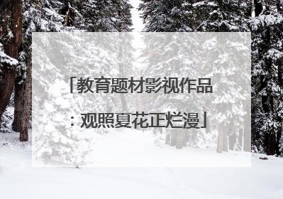 教育题材影视作品：观照夏花正烂漫