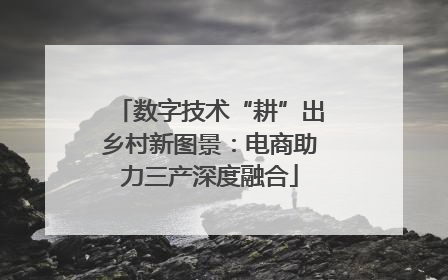 数字技术“耕”出乡村新图景：电商助力三产深度融合