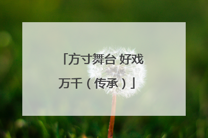 方寸舞台 好戏万千（传承）