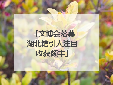 文博会落幕 湖北馆引人注目收获颇丰
