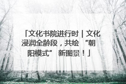 文化书院进行时｜文化浸润全龄段，共绘 “朝阳模式” 新图景！