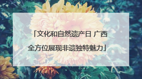 文化和自然遗产日 广西全方位展现非遗独特魅力