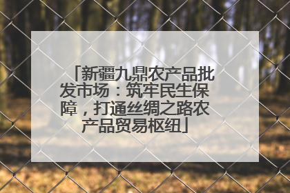 新疆九鼎农产品批发市场：筑牢民生保障，打通丝绸之路农产品贸易枢纽