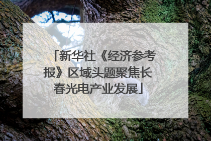 新华社《经济参考报》区域头题聚焦长春光电产业发展