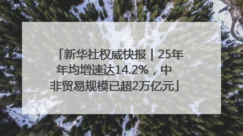 新华社权威快报｜25年年均增速达14.2%，中非贸易规模已超2万亿元