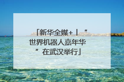 新华全媒+丨“世界机器人嘉年华”在武汉举行