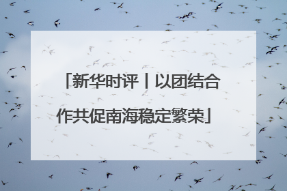 新华时评丨以团结合作共促南海稳定繁荣