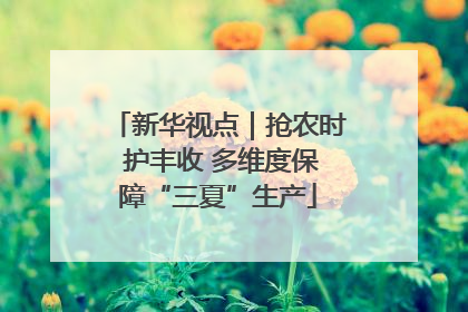 新华视点｜抢农时 护丰收 多维度保障“三夏”生产