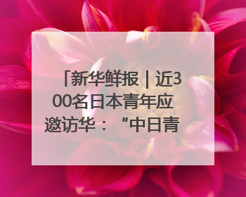 新华鲜报｜近300名日本青年应邀访华：“中日青年可以创造更好的未来”