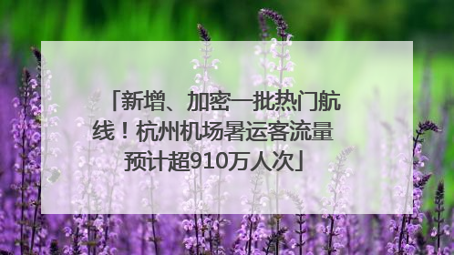 新增、加密一批热门航线！杭州机场暑运客流量预计超910万人次