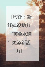 时评：新线建设助力“黄金水道”更添新活力
