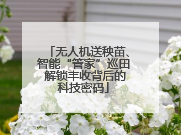 无人机送秧苗、智能“管家”巡田 解锁丰收背后的科技密码