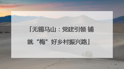 无锡马山：党建引领 铺就“梅”好乡村振兴路