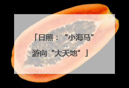 日照：“小海马”游向“大天地”