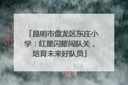 昆明市盘龙区东庄小学：红星闪耀闯队关，培育未来好队员