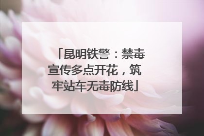 昆明铁警：禁毒宣传多点开花，筑牢站车无毒防线