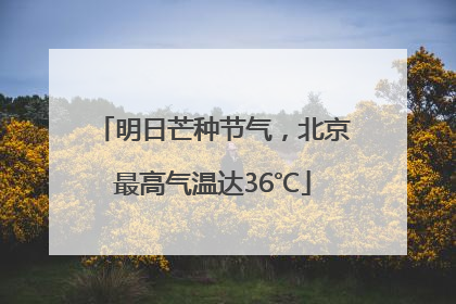 明日芒种节气，北京最高气温达36℃