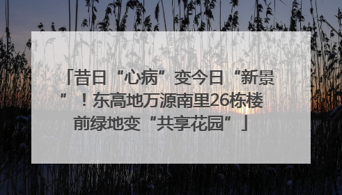 昔日“心病”变今日“新景”！东高地万源南里26栋楼前绿地变“共享花园”