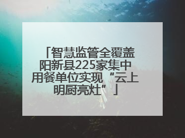 智慧监管全覆盖 阳新县225家集中用餐单位实现“云上明厨亮灶”