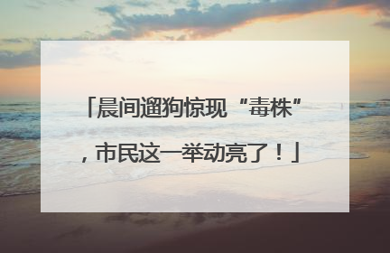 晨间遛狗惊现“毒株”，市民这一举动亮了！