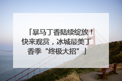 暴马丁香陆续绽放！快来观赏，冰城最美丁香季“终极大招”