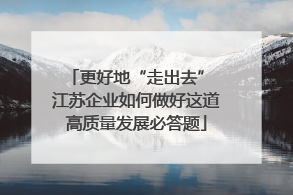 更好地“走出去” 江苏企业如何做好这道高质量发展必答题
