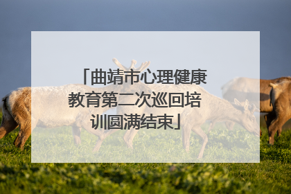 曲靖市心理健康教育第二次巡回培训圆满结束