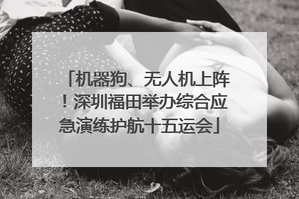 机器狗、无人机上阵！深圳福田举办综合应急演练护航十五运会