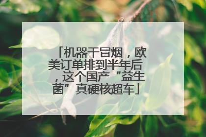 机器干冒烟，欧美订单排到半年后，这个国产“益生菌”真硬核超车