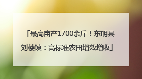 最高亩产1700余斤！东明县刘楼镇：高标准农田增效增收
