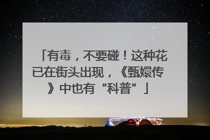 有毒，不要碰！这种花已在街头出现，《甄嬛传》中也有“科普”