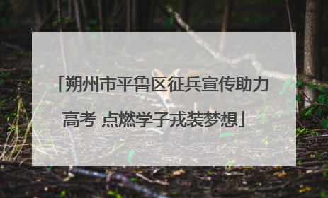 朔州市平鲁区征兵宣传助力高考 点燃学子戎装梦想