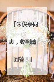 朱俊亭同志，收到请回答！