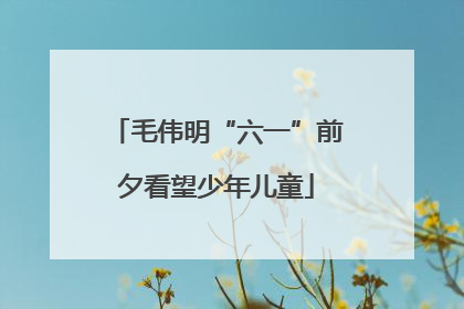 毛伟明“六一”前夕看望少年儿童