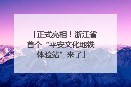 正式亮相！浙江省首个“平安文化地铁体验站”来了