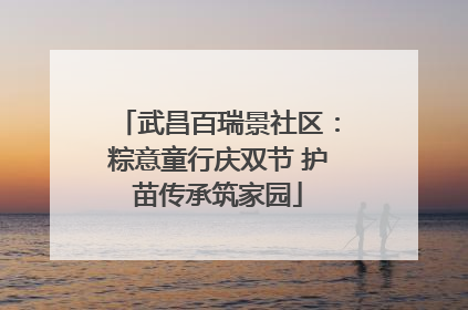 武昌百瑞景社区：粽意童行庆双节 护苗传承筑家园